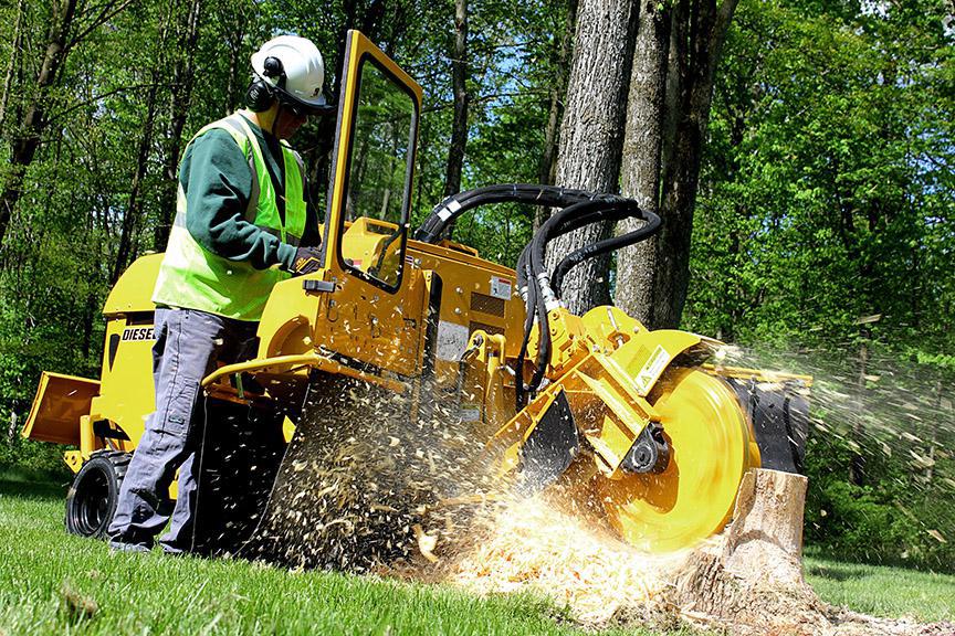 RentalTree and Stump Rayco Stump Grinder for sale in East Hampton, NY